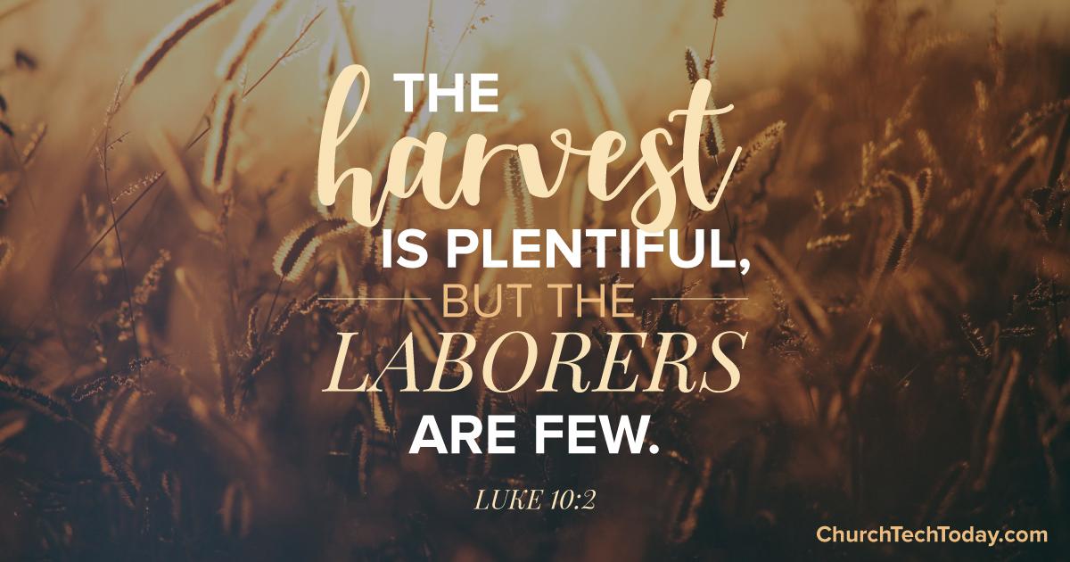 harvest bible verse